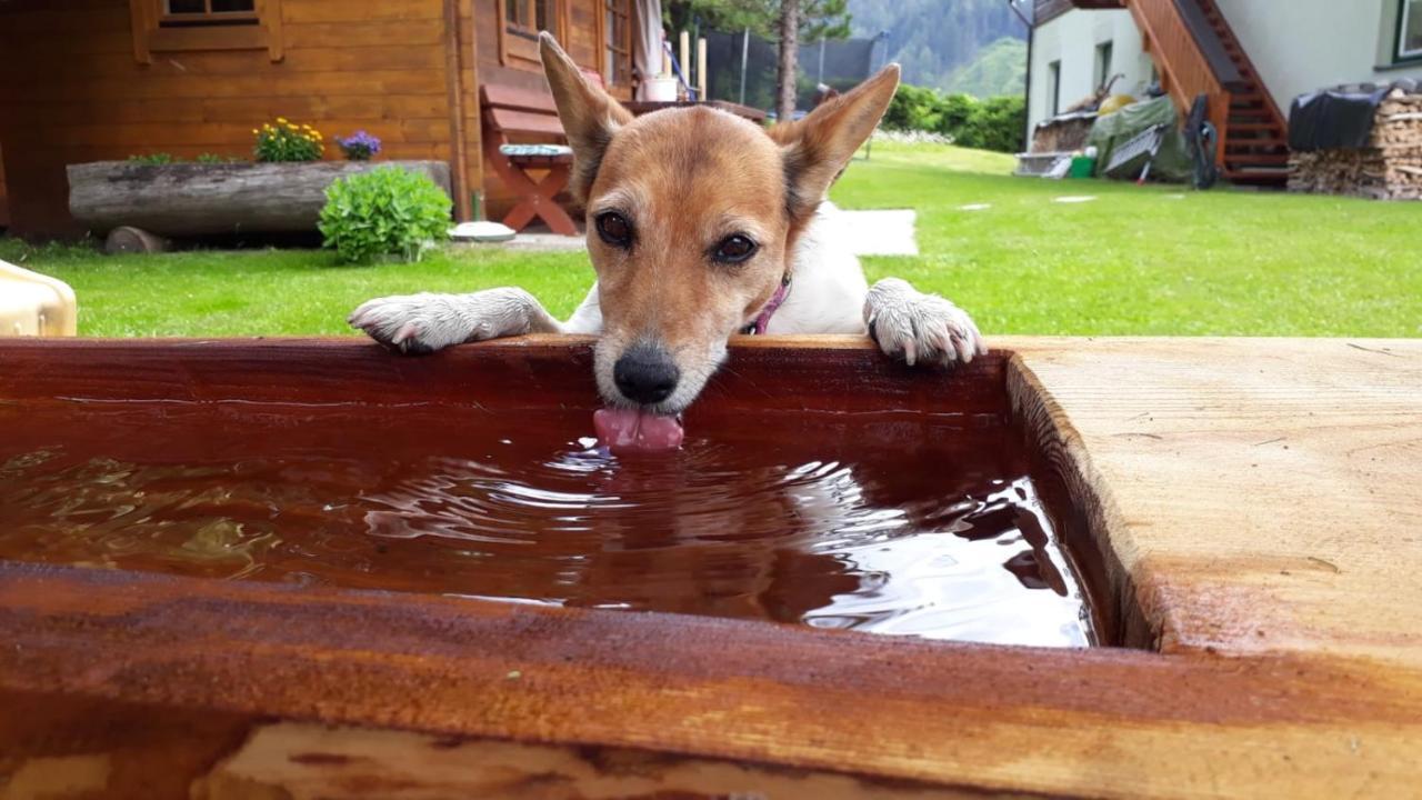 Appartementhaus Finis Ramsau am Dachstein Eksteriør bilde