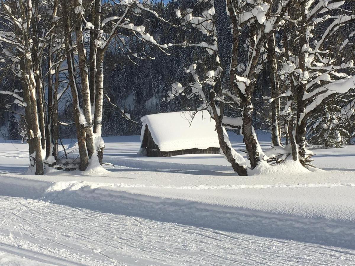 Appartementhaus Finis Ramsau am Dachstein Eksteriør bilde